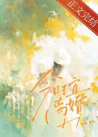 今日不宜离婚txt下载